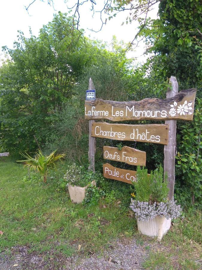 La Ferme Les Mamours Bed and Breakfast La Bastide-l'Eveque Buitenkant foto