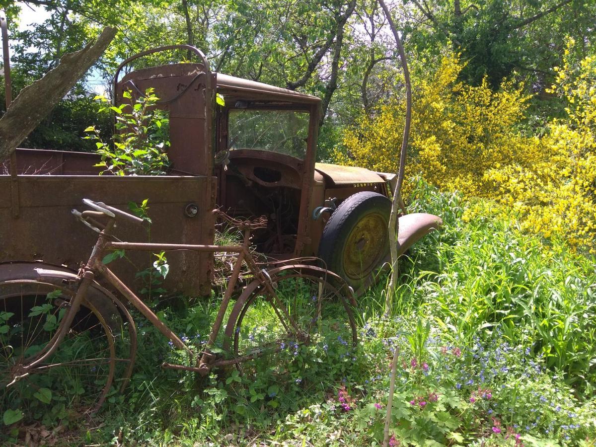 La Ferme Les Mamours La Bastide-l'Eveque Buitenkant foto
